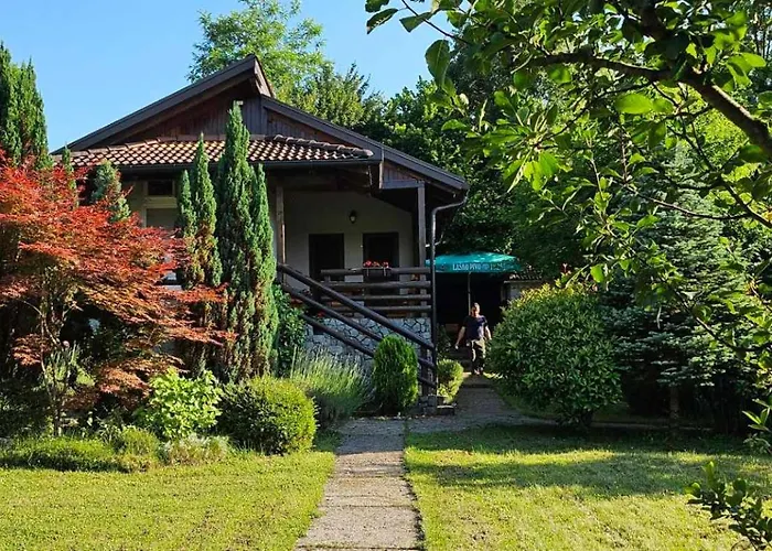 Green Oasis